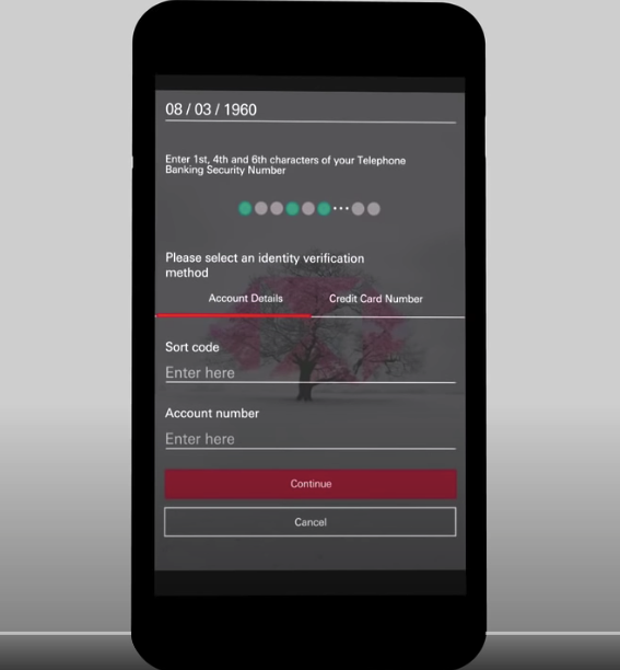 HSBC jelszó megadási példa