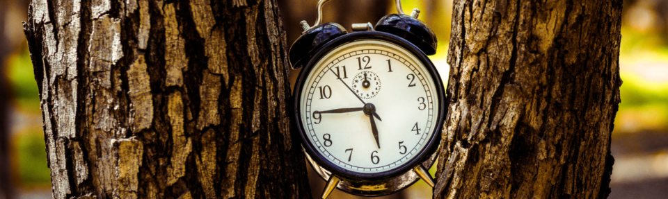 Hogyan nyújtsunk a legjobb valós idejű ügyfélszolgálatot 2025-ben