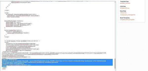 Élő chat gomb a Volusion e-shop törzsébe helyezve