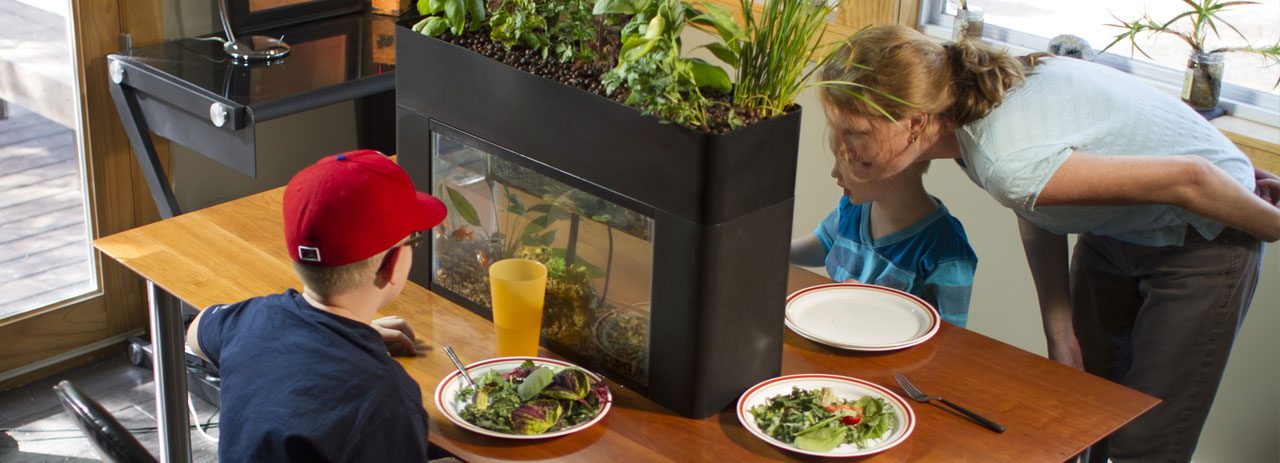 AquaSprouts fenntarthatóság