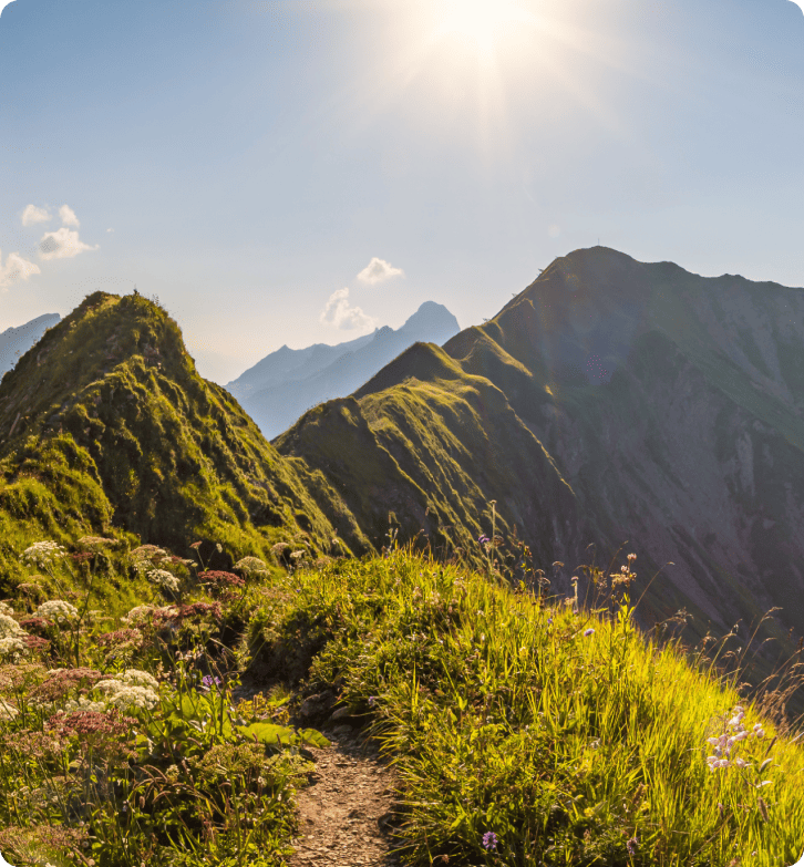 Hogyan javította a ZlavaDna az ügyfélszolgálatot a LiveAgent segítségével